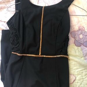 Fitted black with gold lining dress